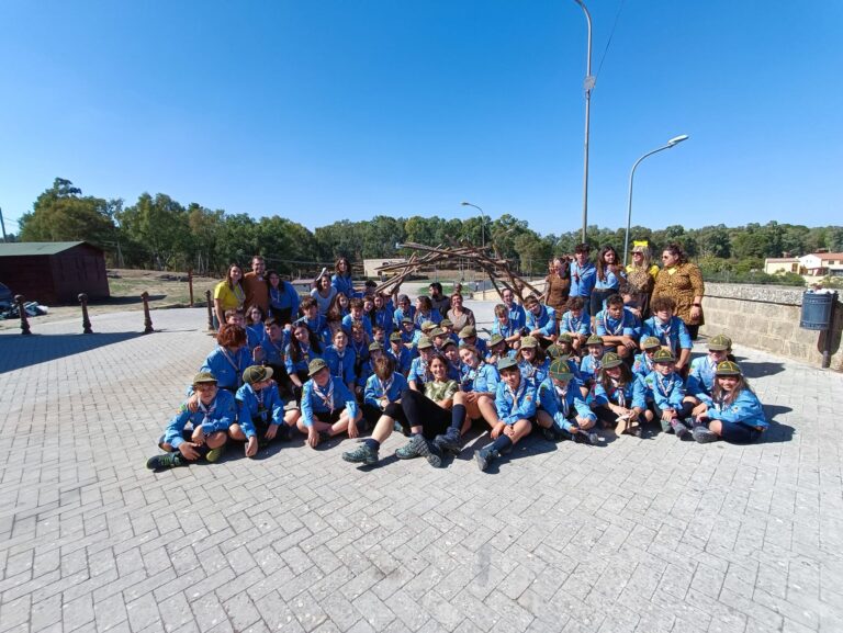 scout 2