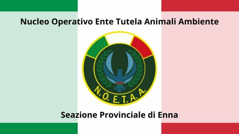 animali ed ambiente