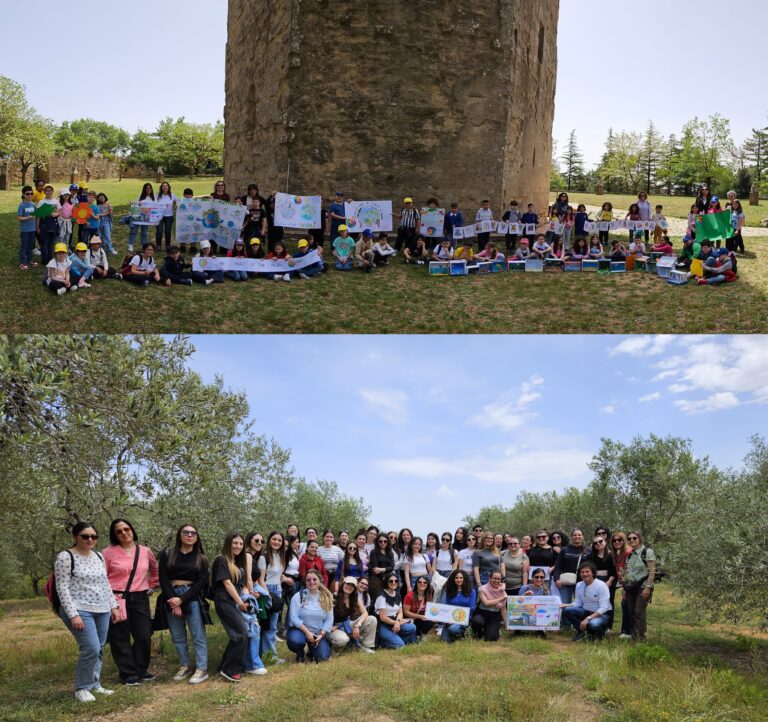 Kore University-DeAmicis School