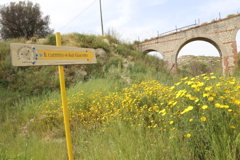 cammino san giacomo 1