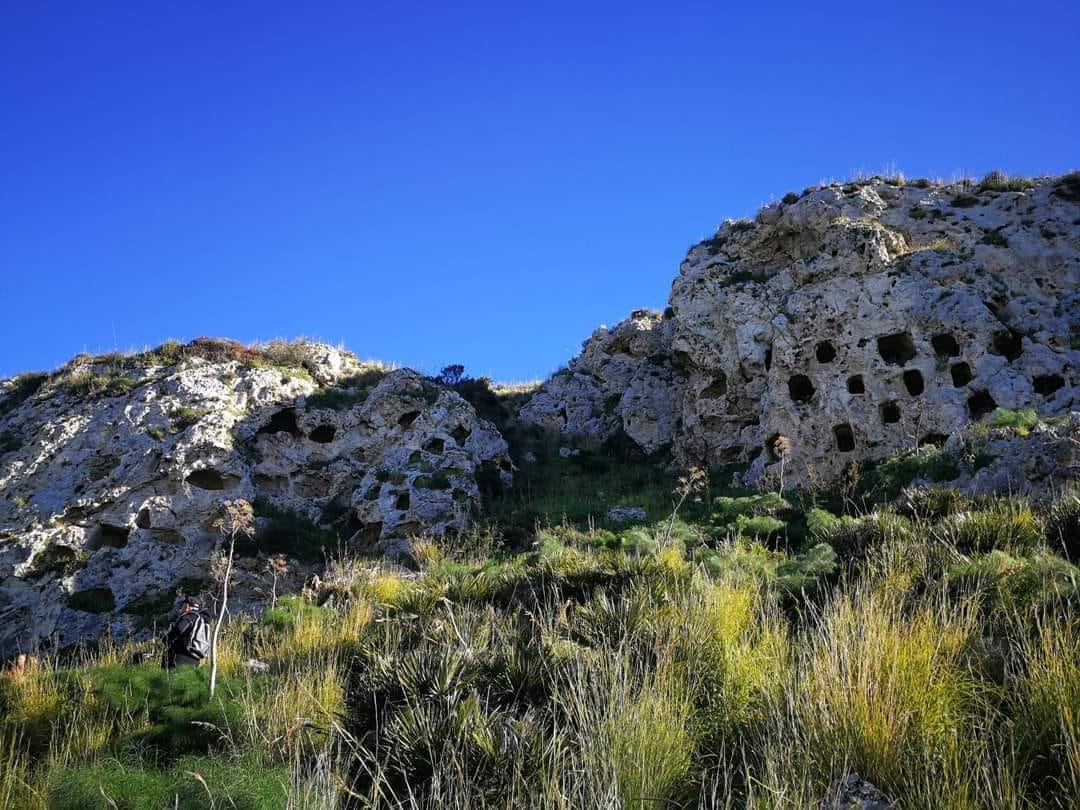 disueri