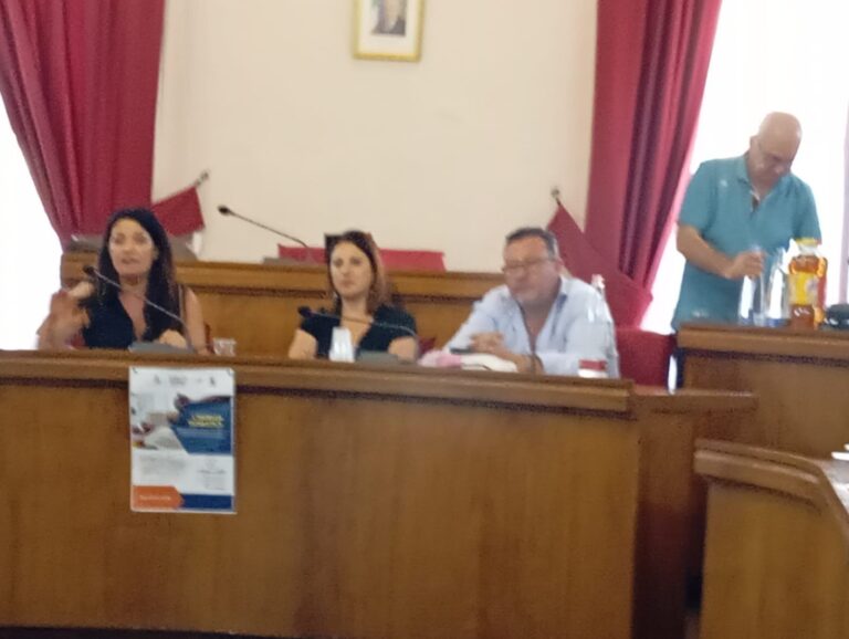 incontro aula consiliare