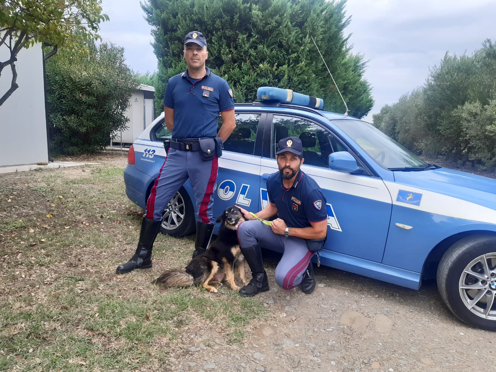 cani poliziotto