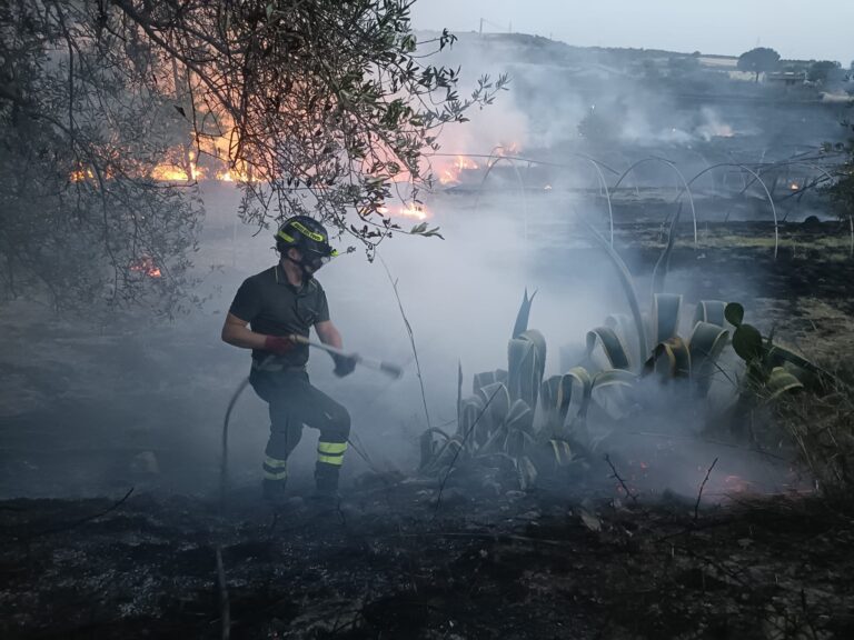 numerosi incendi