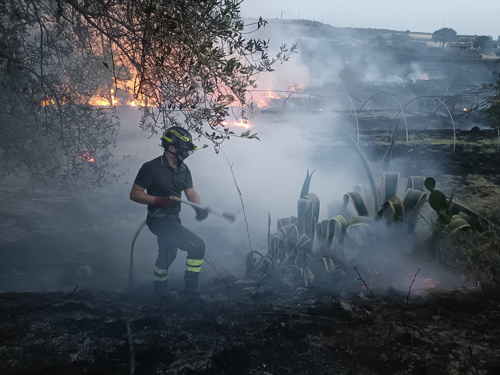 numerosi incendi