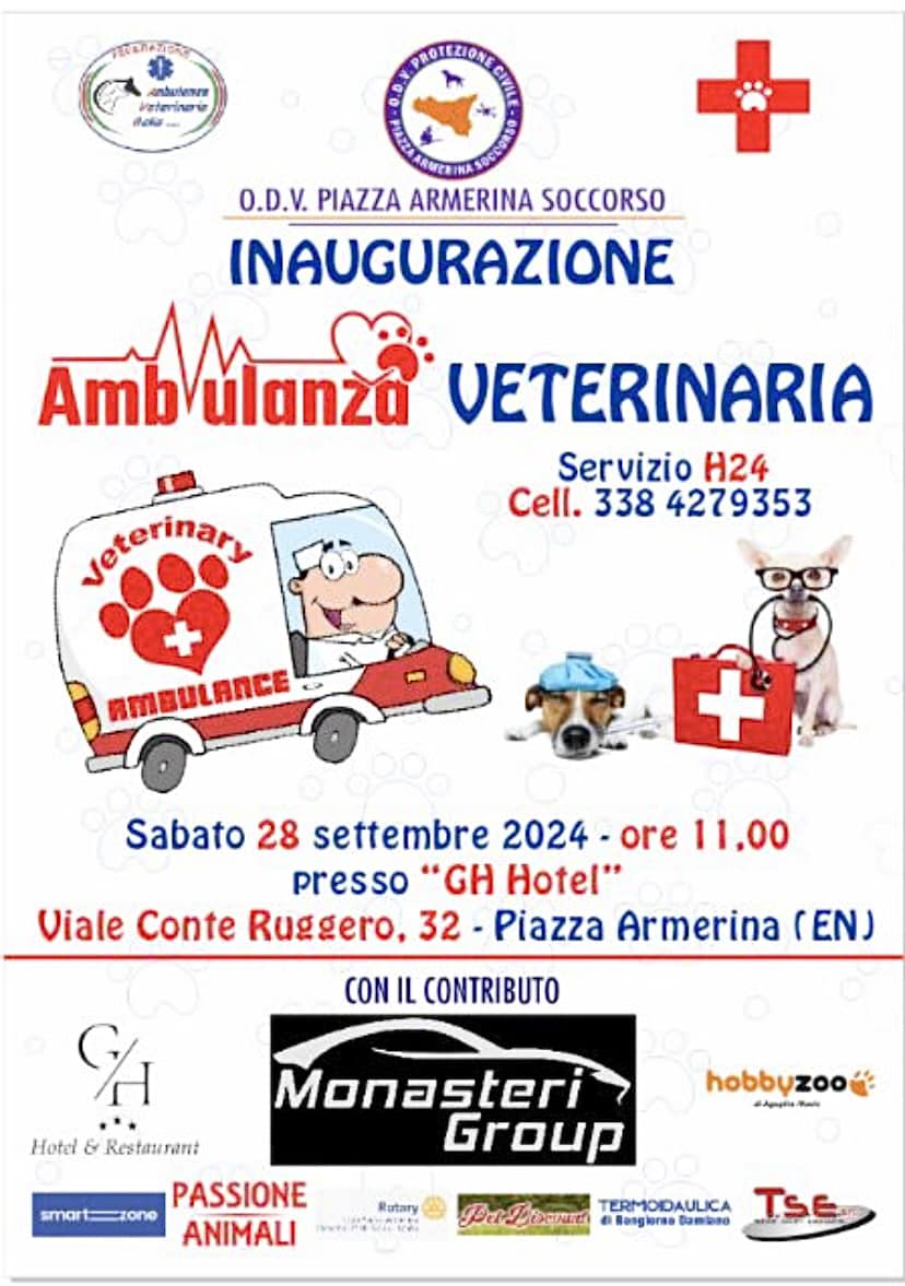 ambulanza veterinaria