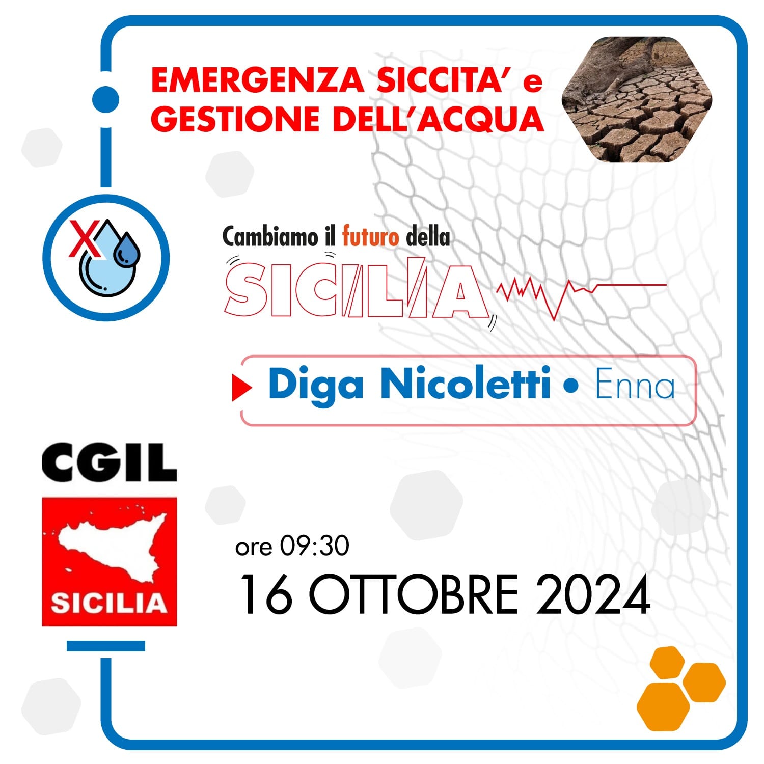 diga nicoletti 1