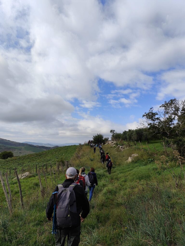 via dell'oro 1