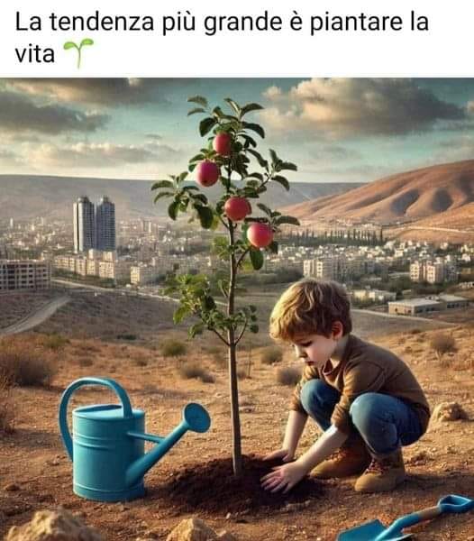 alberi