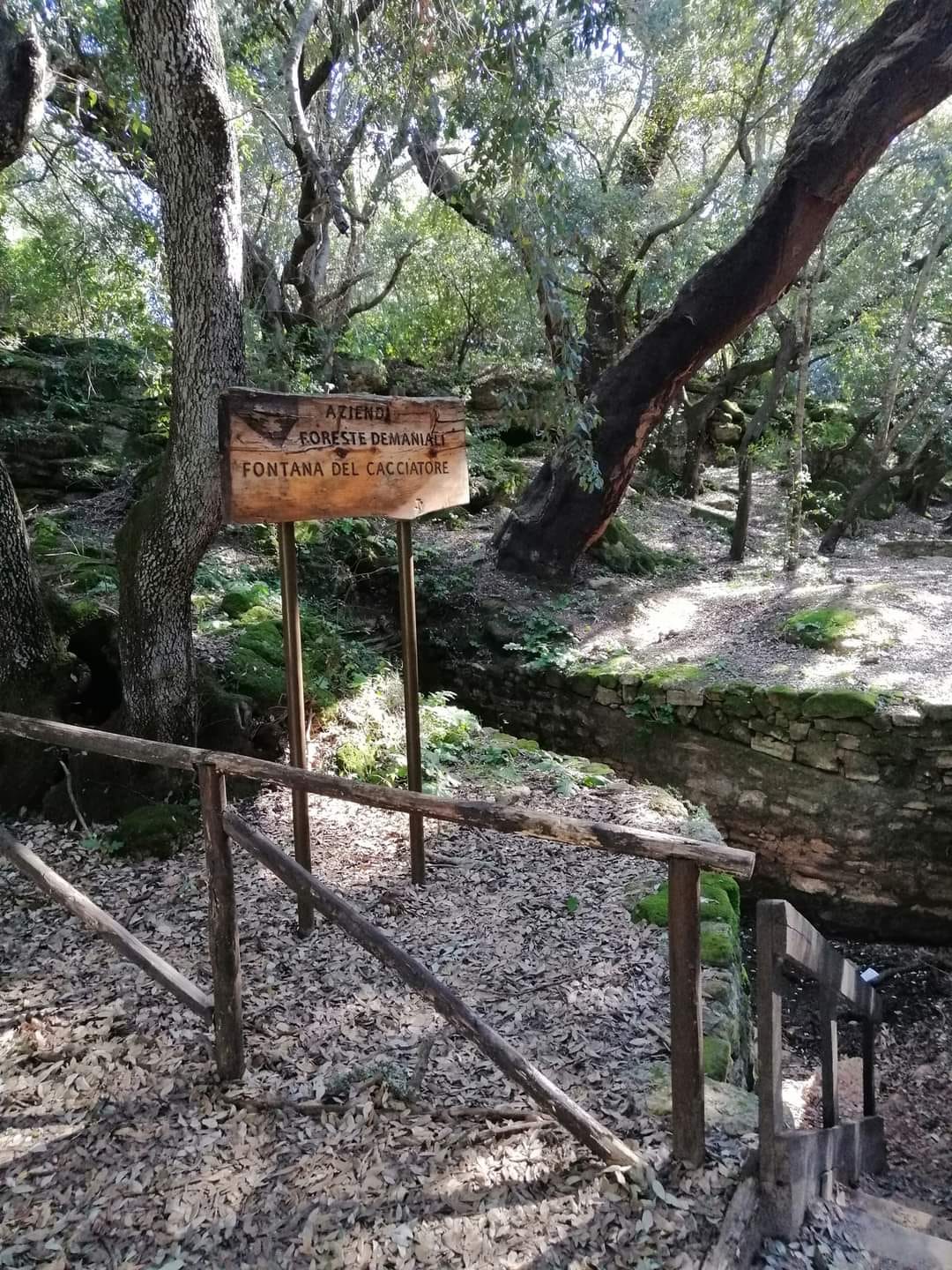 bosco santo pietro