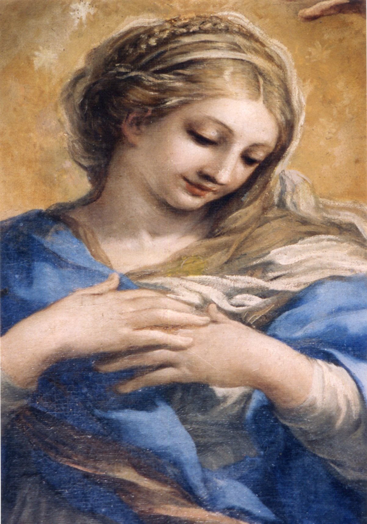 immacolata concenzione enna