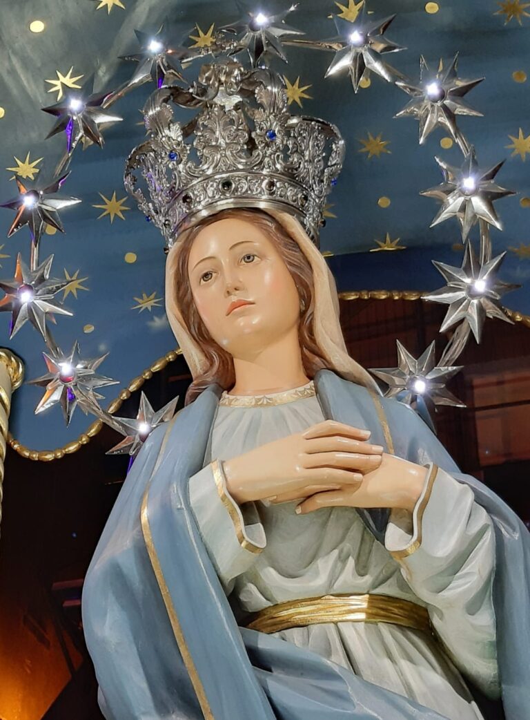 madonna immacolata