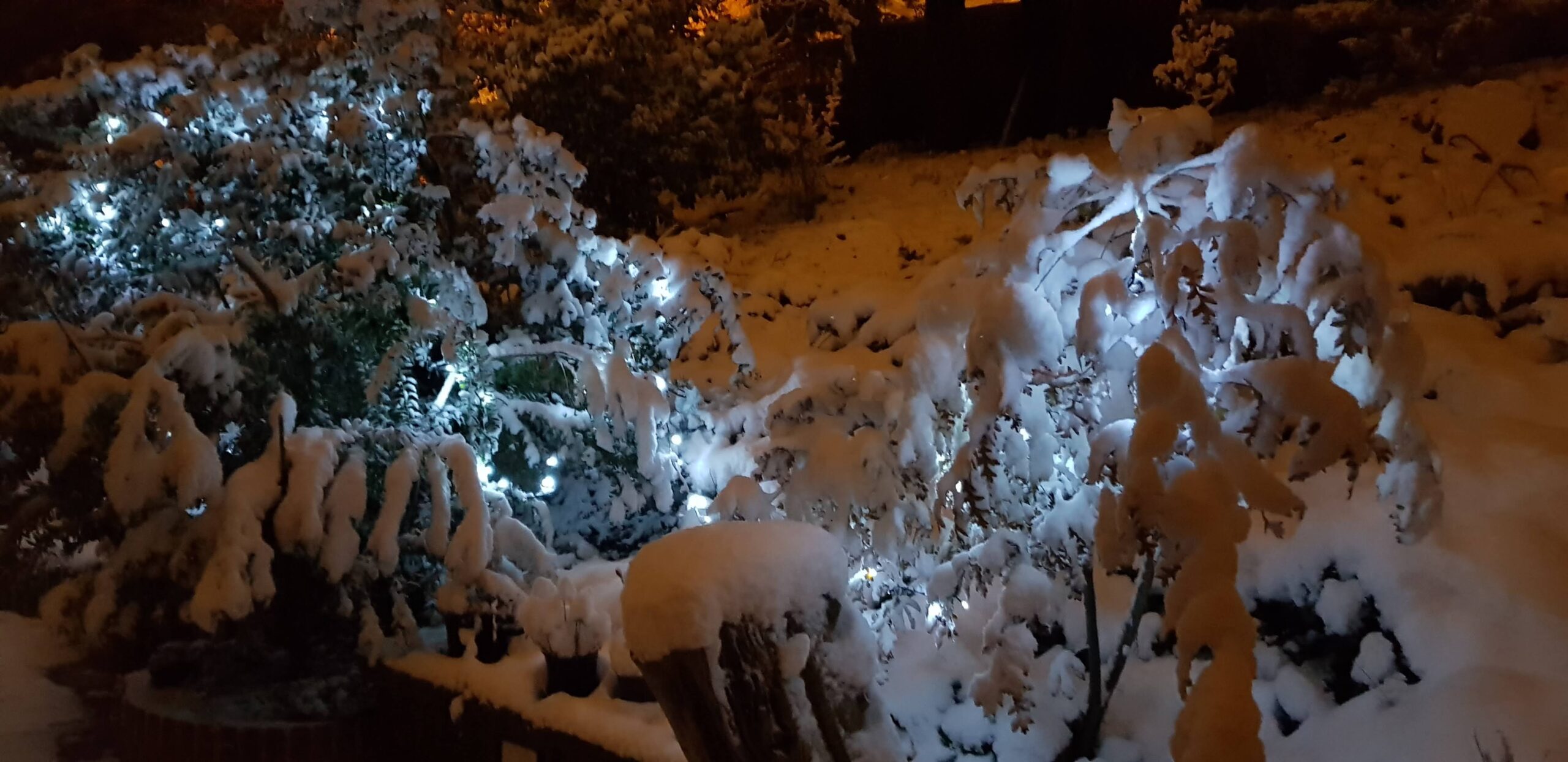 meteo 15
