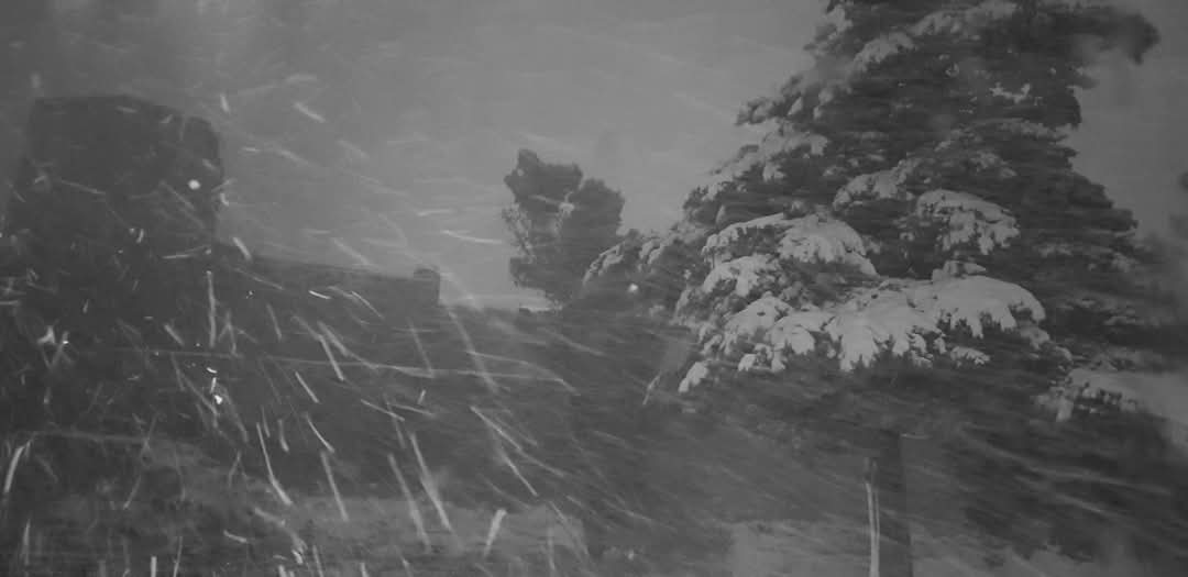 meteo 16