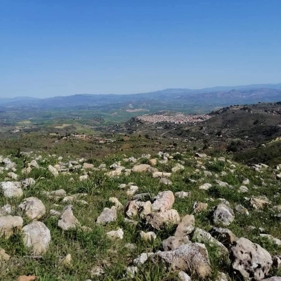 rossomano 4