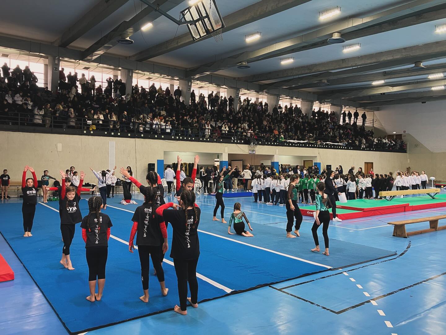 ginnastica artistica al palazzetto
