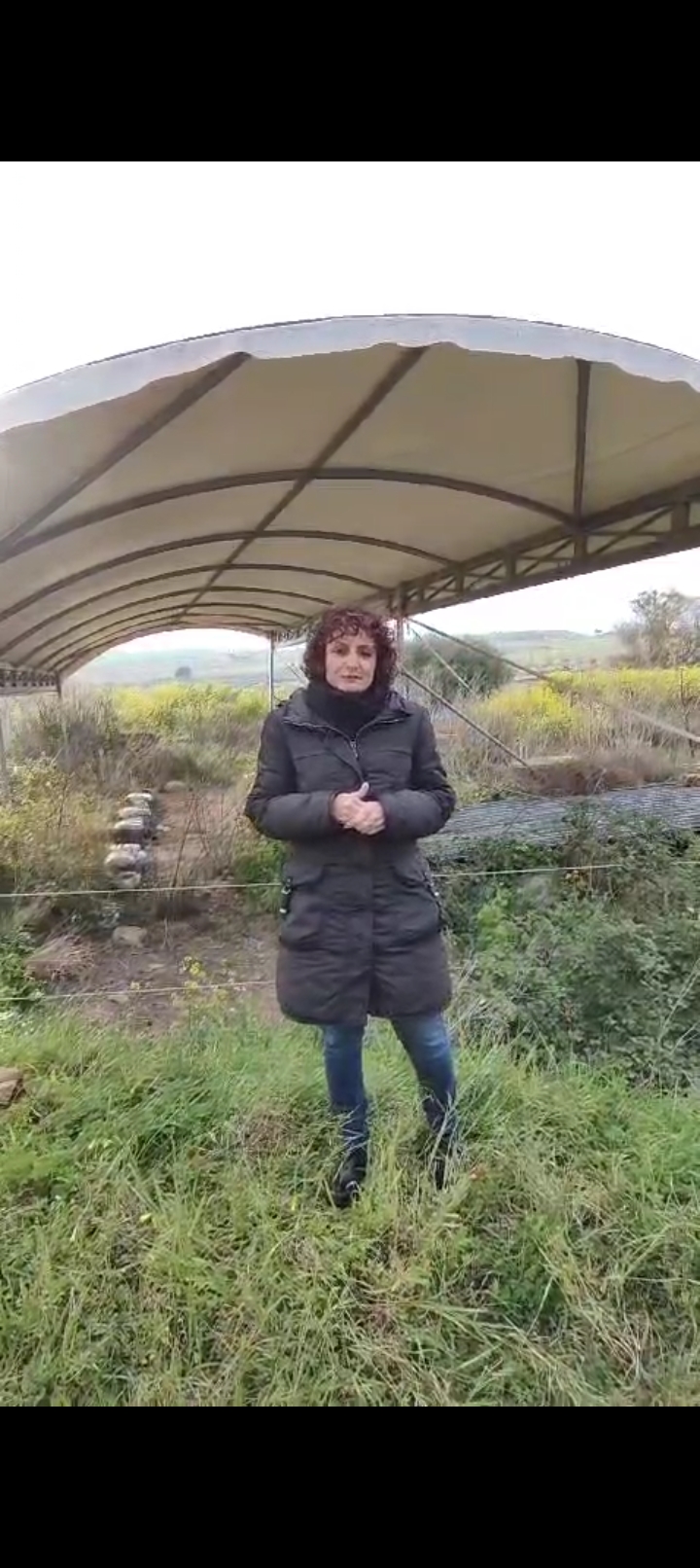 longi a gerace
