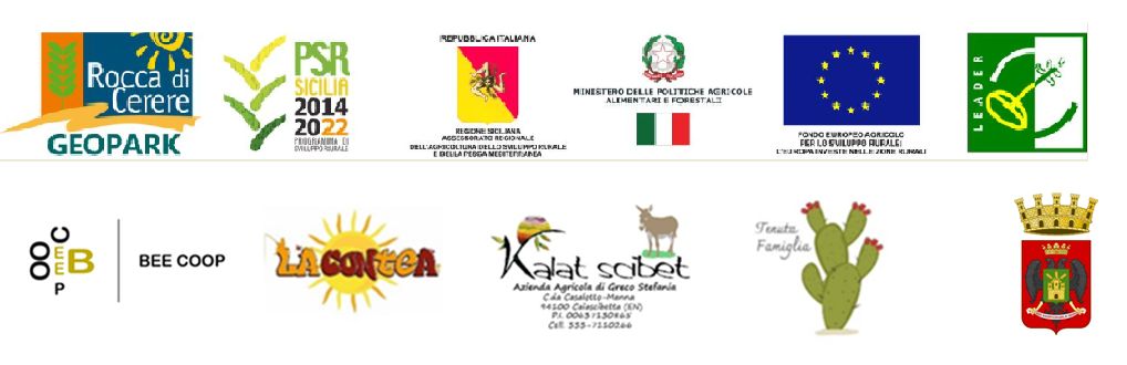 progetto bee coop