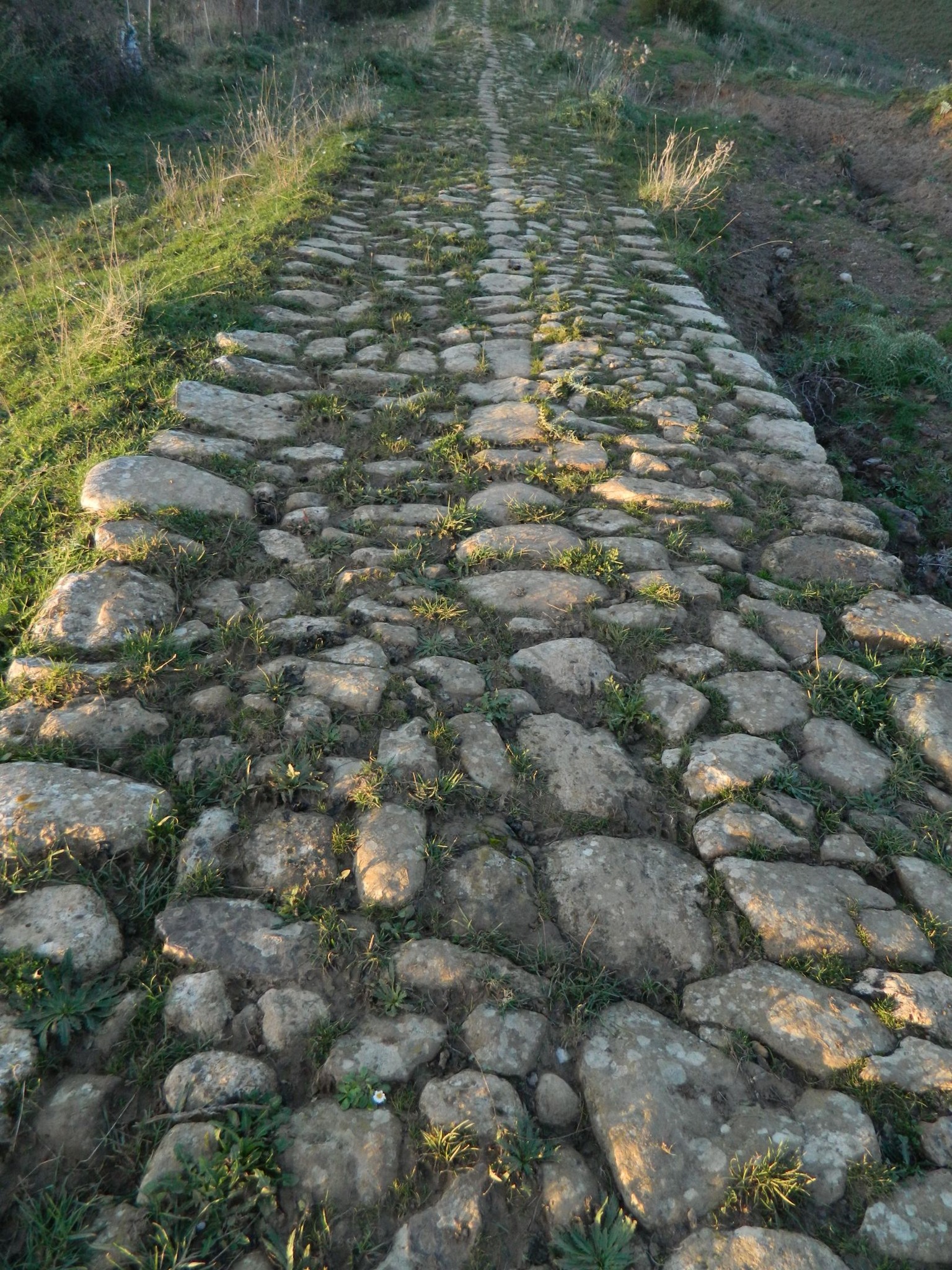 via del grano