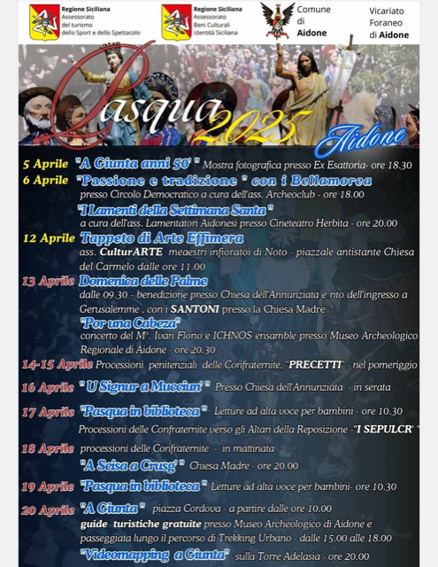 programma aidone