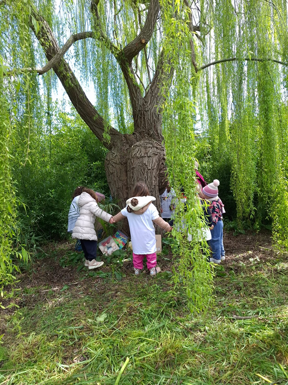 Pagine e manine sotto il salice