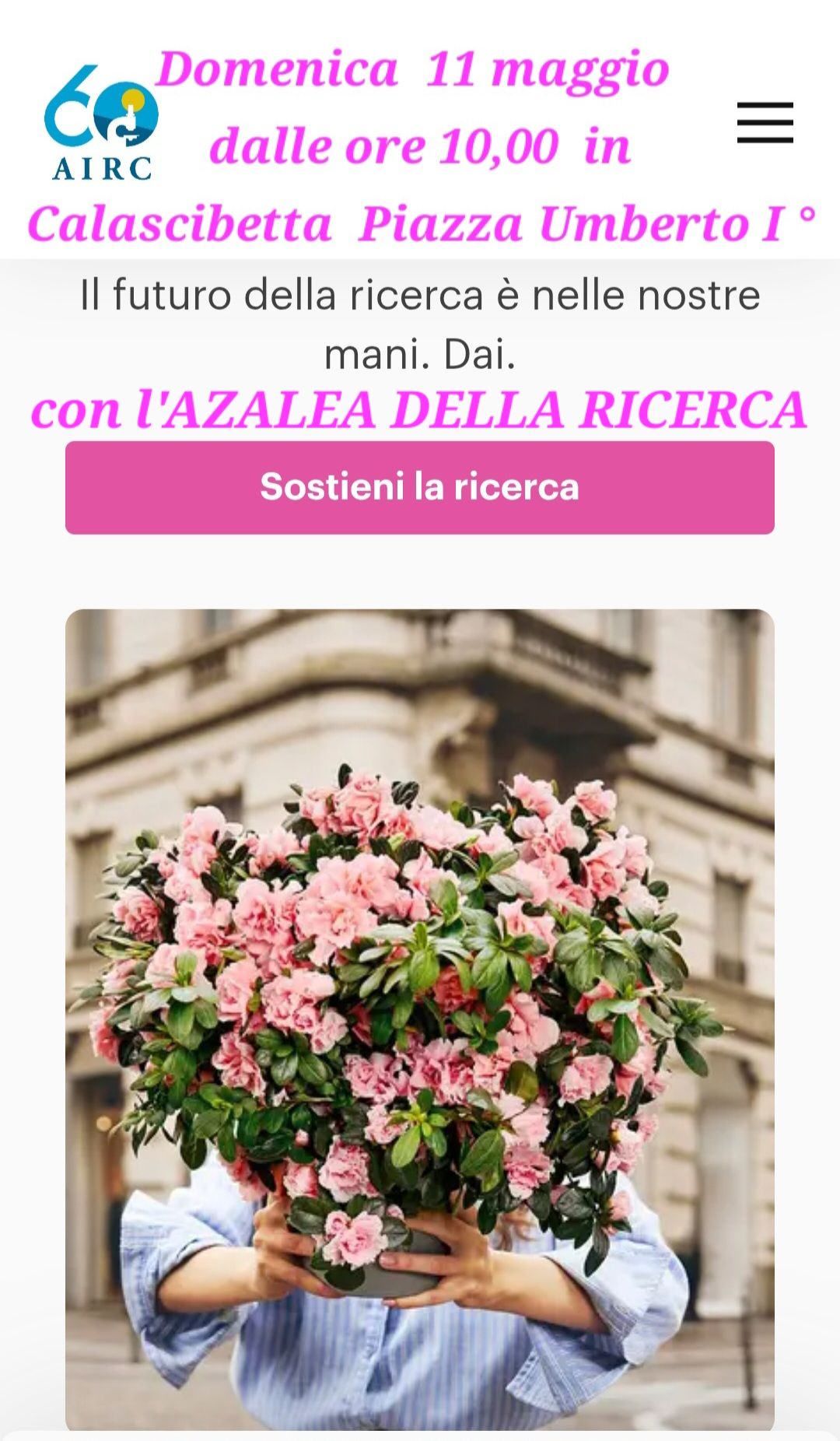 azalea a calascibetta