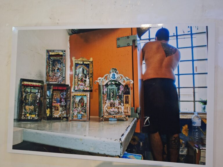foto andolina