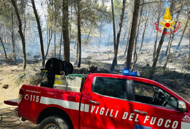 nuovo incendio