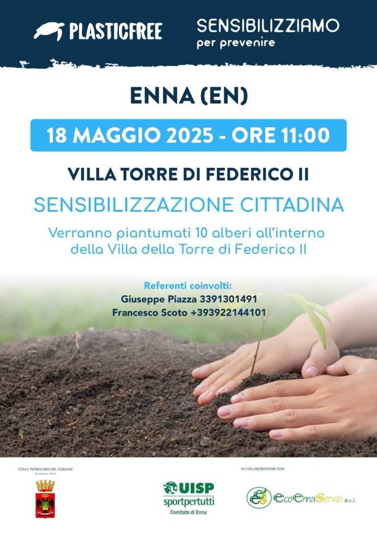 piantumazione 2
