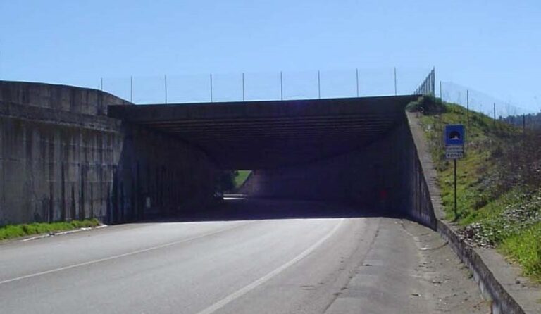 sp 98