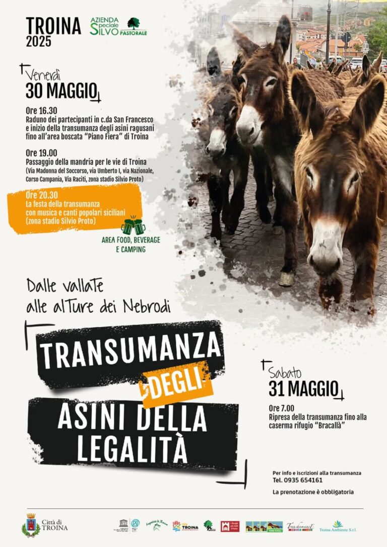 transumanza 1