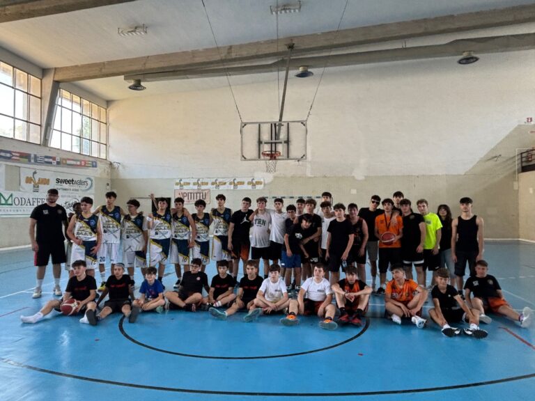 basket consolini