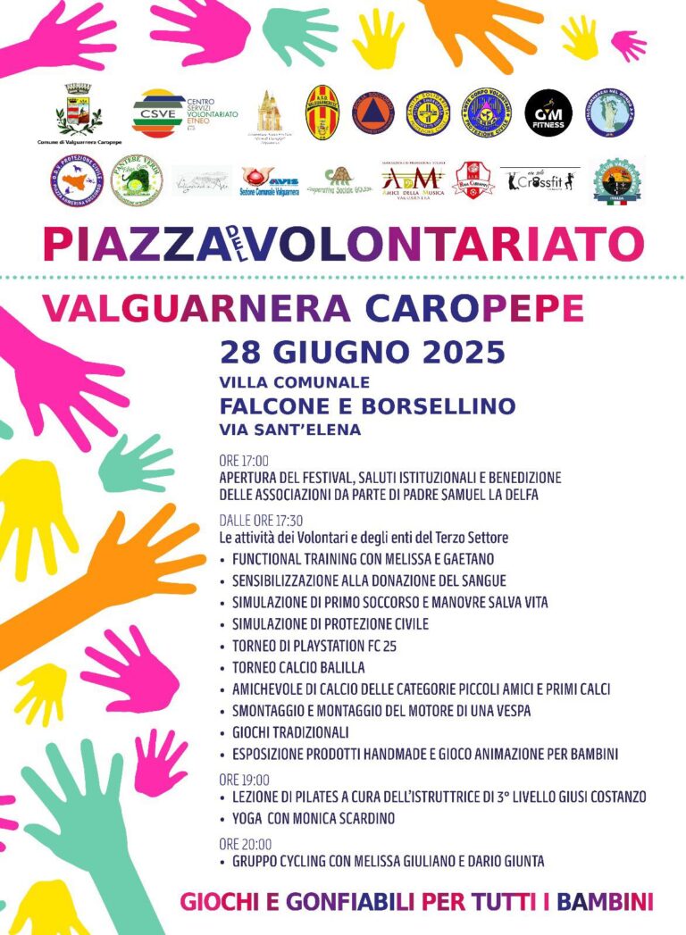 festa del volontariato