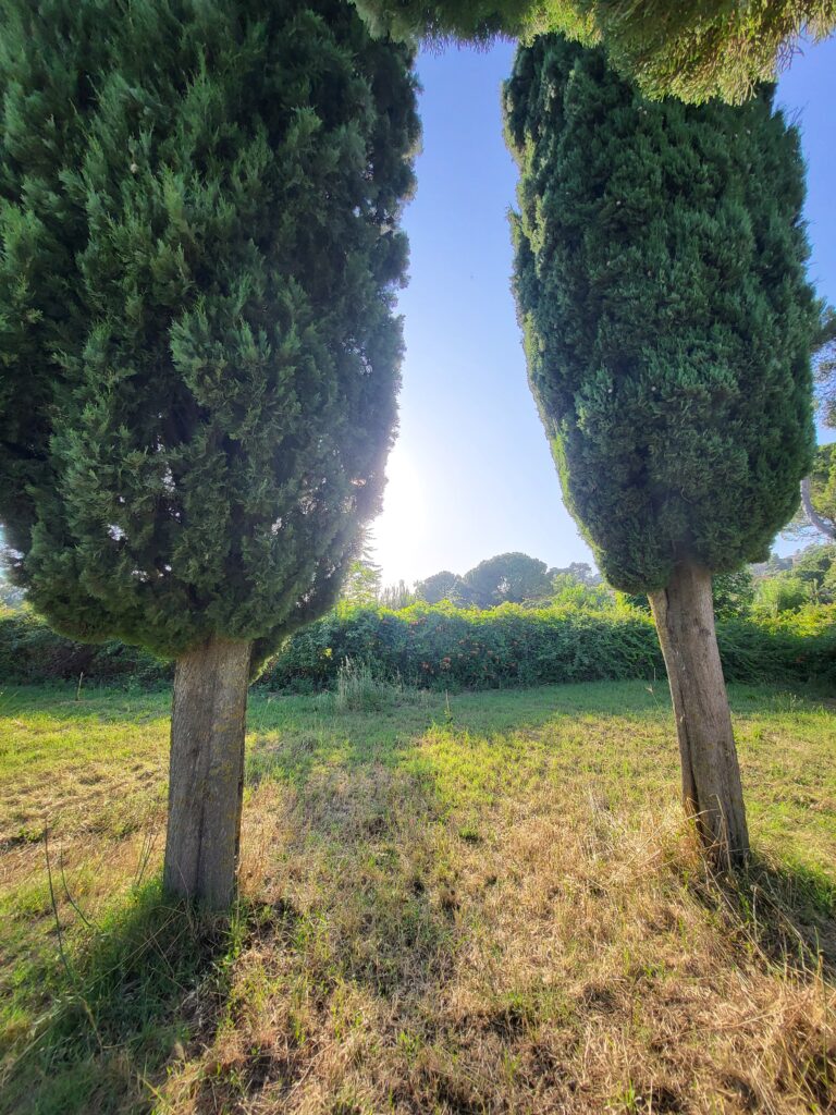 meteo 15