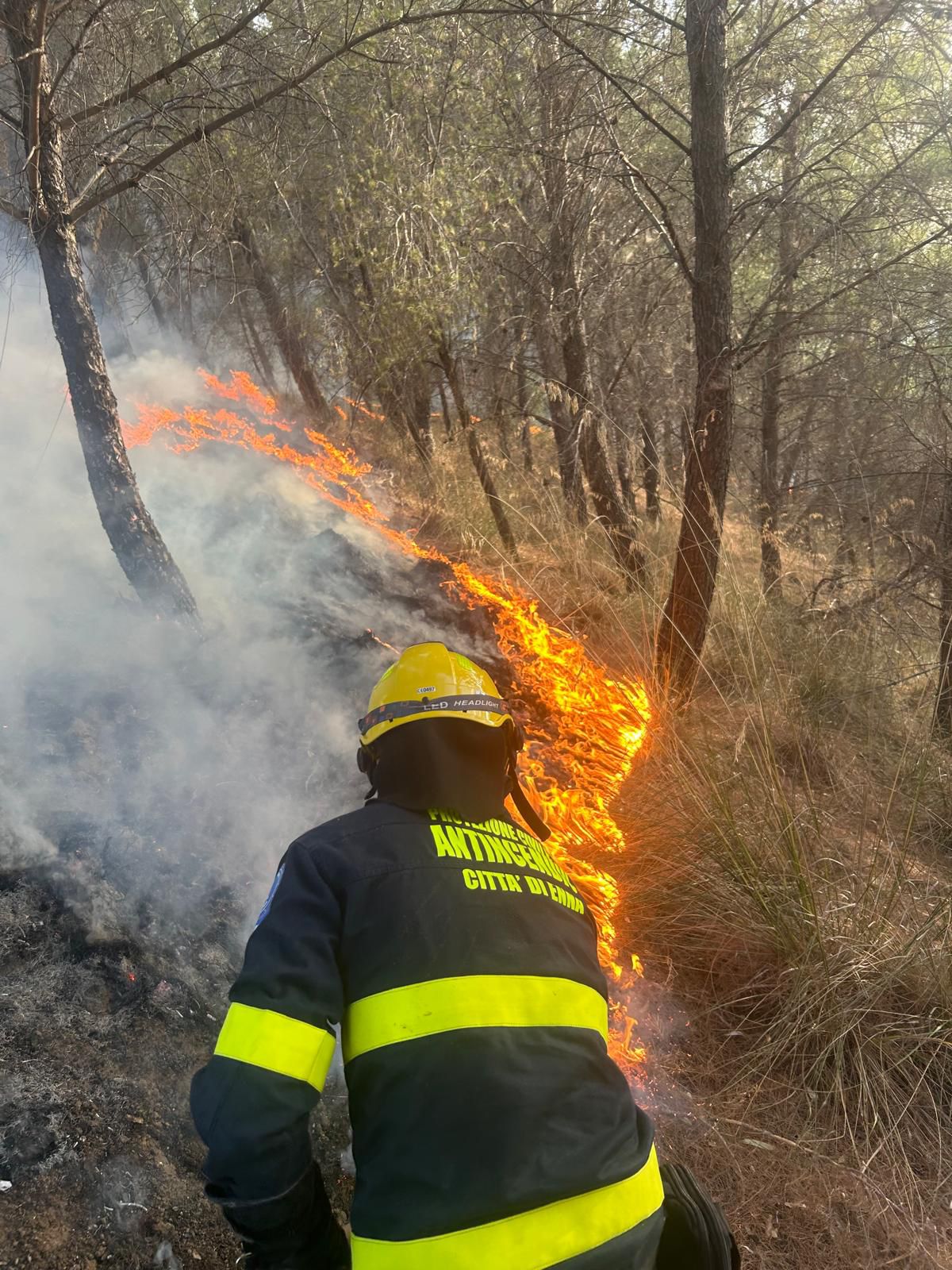 incendio fortolese