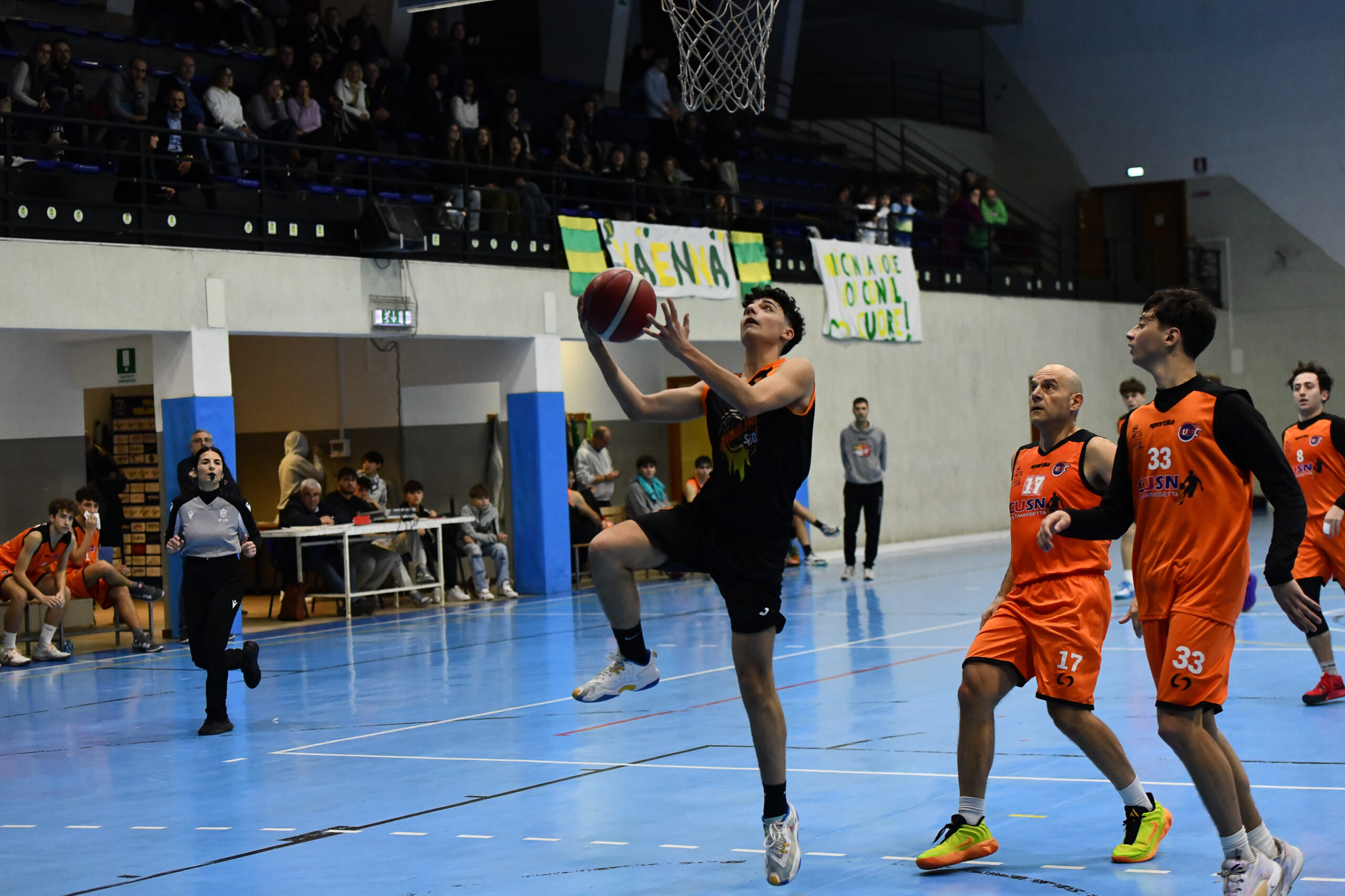 basket dr2