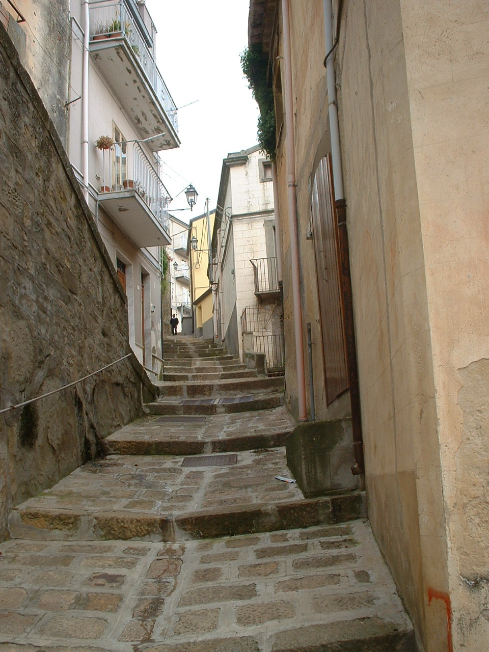 troina 5