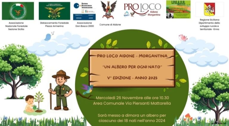 albero 2
