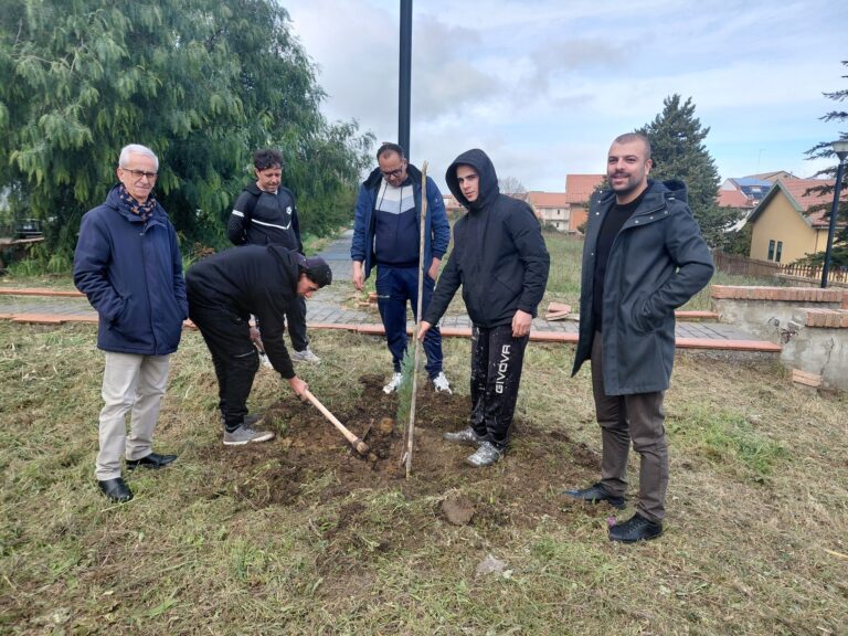 albero aidone