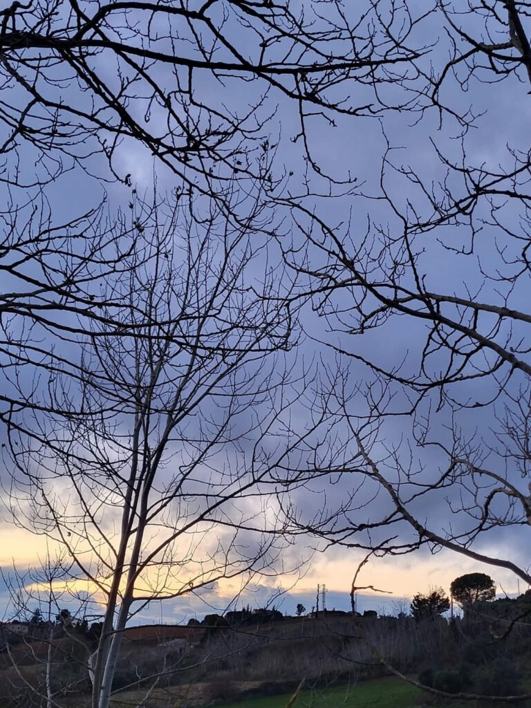 meteo 11
