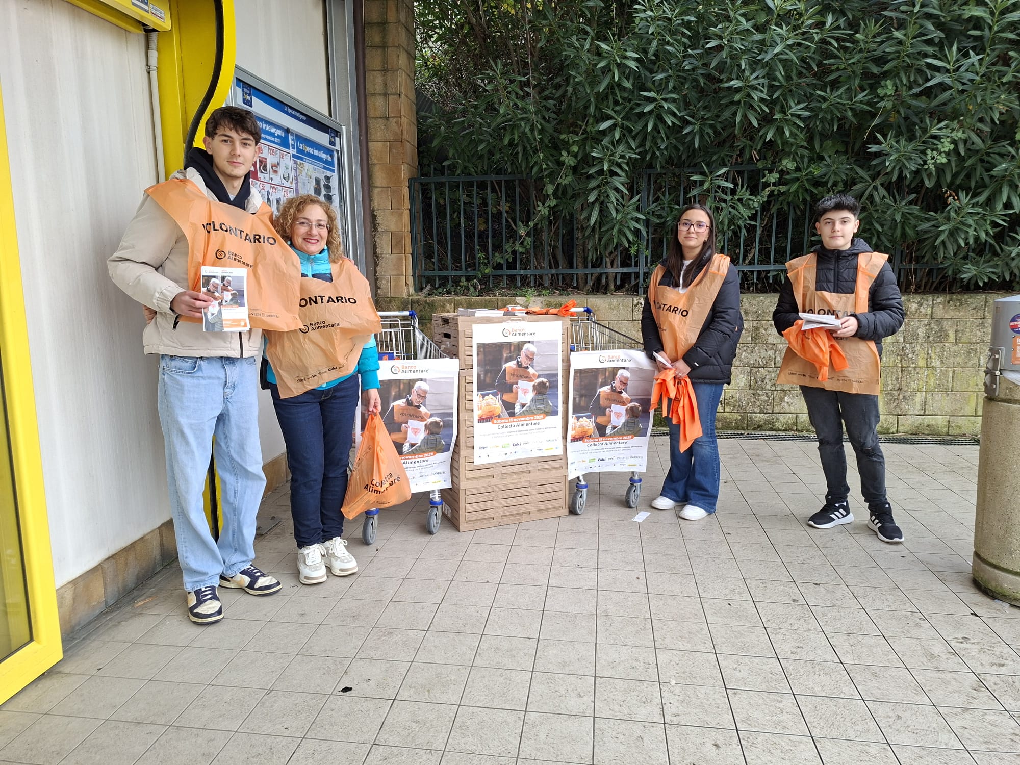 raccolta viveri