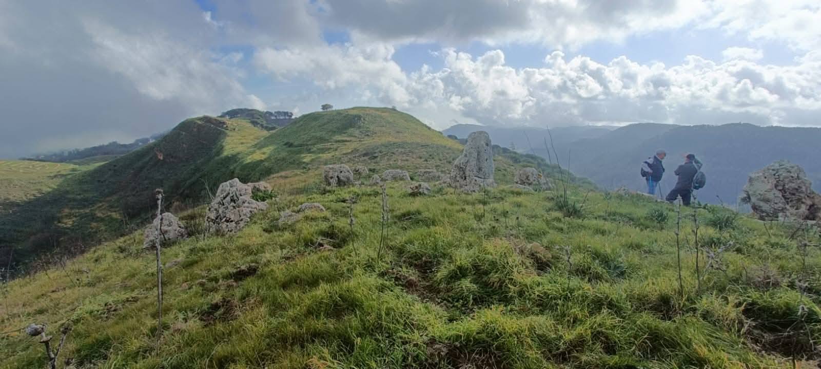 rossomano 5