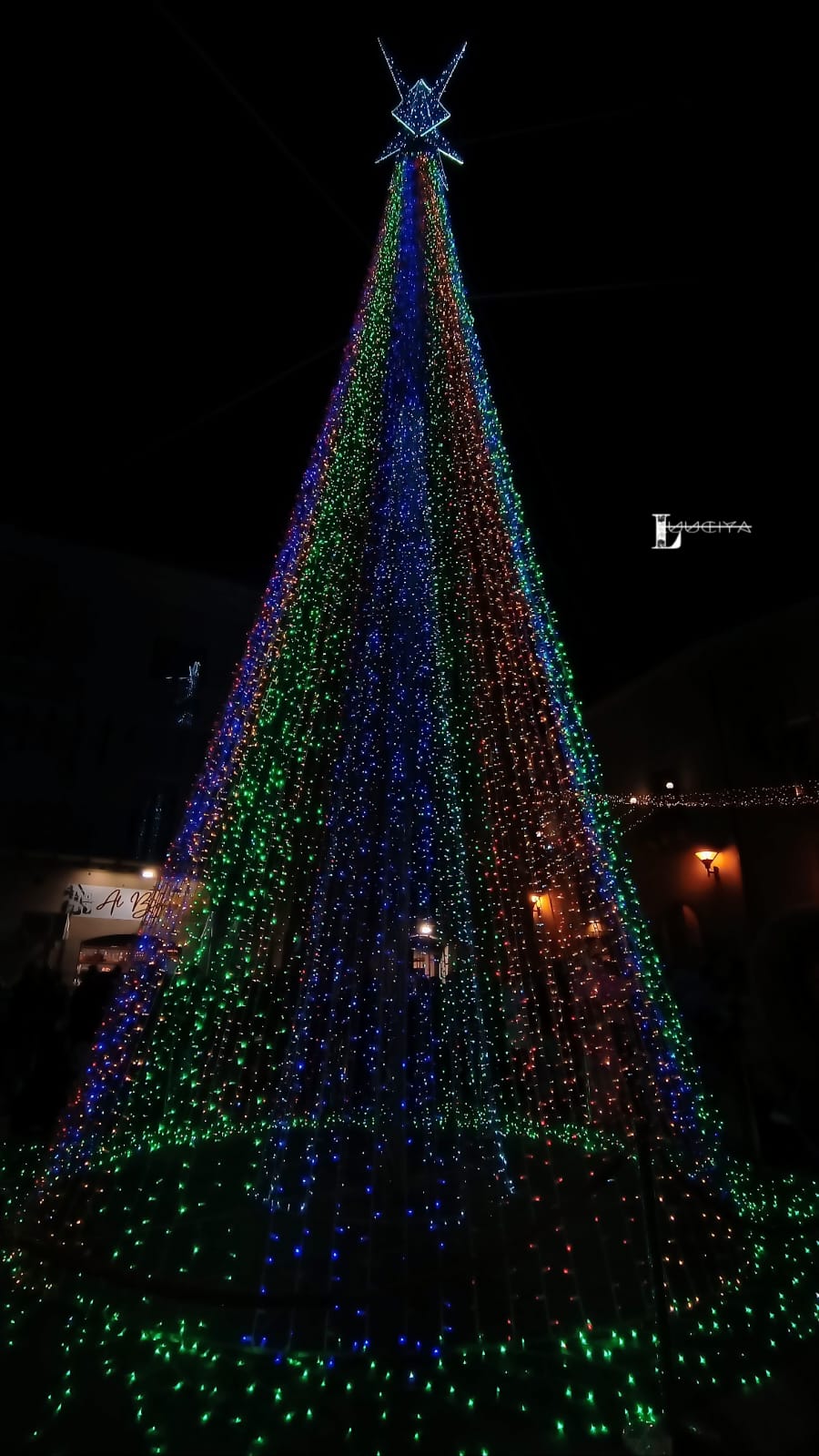 albero assoro