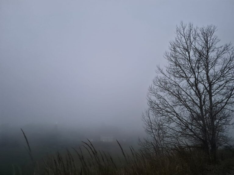 meteo 22