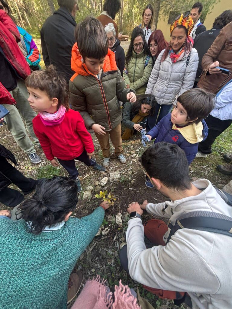 pianta un albero