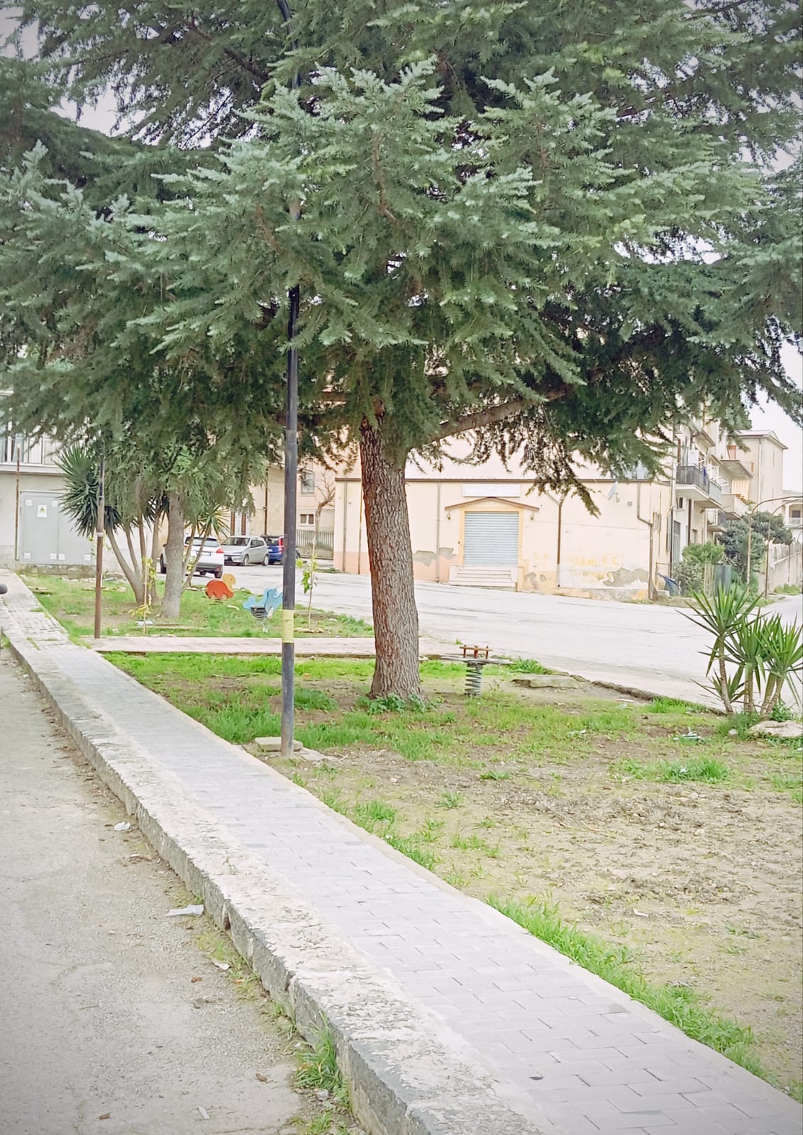 Area verde da recuperare1
