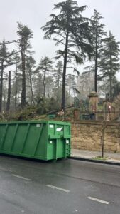 alberi villa