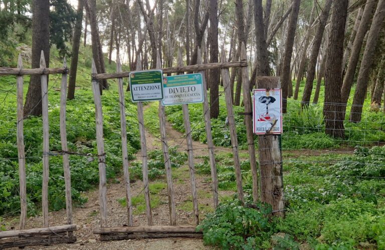 Vigilanza Ambientale
