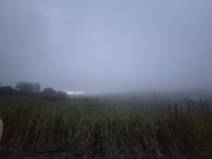 meteo 33