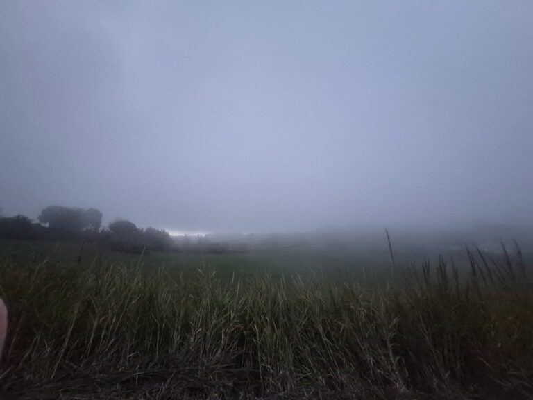 meteo 33